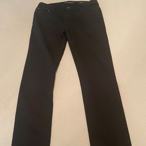 Banana Republic Traveler Pants